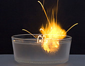 Metallic Sodium Reacts with Water