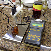 pH Meter