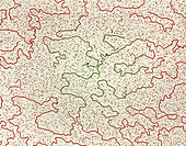 TEM of DNA from E. coli bacteriophage