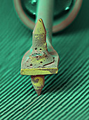 Record Needle,SEM