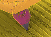 Record Needle on Record,SEM