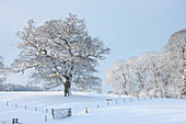 Snowy scene in England