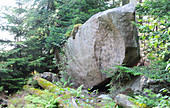 Erratic Glacial Rock