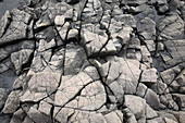 Cracked Rocks on shore