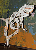 Appalachiosaurus