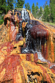 Small Geyser in Yellowstone