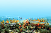 Silurian Ocean Reconstruction