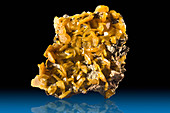 Wulfenite