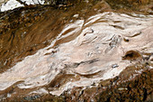 Algae and Minerals in Hot Spring