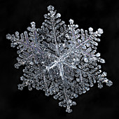 Snowflake