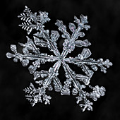 Snowflake