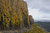 Lichened Basalt Columns,Iceland