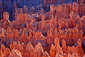 Badland Topography of Bryce Canyon,Utah