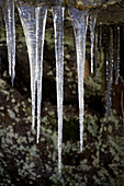 Icicles