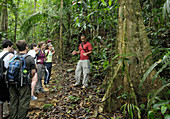 Rainforest learning