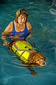 Veterinary Tech Exercises Dog in Pool