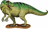 Allosaurus