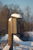 Bluebird house covered with snow
