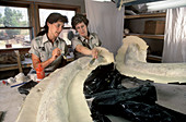 Preparing Mammoth Tusks for transport