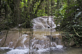 Turtle River Falls,Jamaica