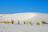 White Sands National Monument,NM