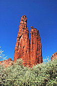 Spider Rock,Tamarisk,Canyon De Chelly