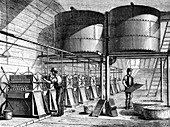 19th Century sugar factory,illustration