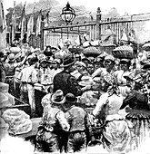 19th Century market,Guyana,illustration