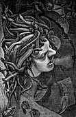 Medusa's Head,19th C illustration