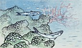 Algae and corals,illustration