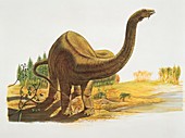 Dinosaur in the forest,illustration