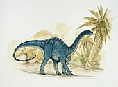 Mussaurus,illustration