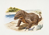 Erythrosuchus hunting,illustration