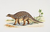 Dracopelta dinosaur,illustration