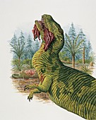 Eustreptospondylus dinosaur,illustration
