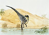 Dinosaur in water,illustration