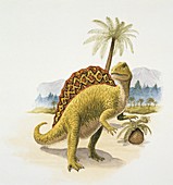 Spinosaurus dinosaur,illustration