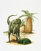 Yaverlandia grazing,illustration