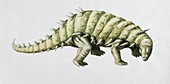 Hylaeosaurus dinosaur,illustration