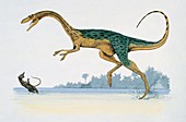 Adult dinosaur attacking,illustration