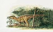 Rhabdodon dinosaur,illustration