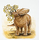 Pentaceratops eating,illustration