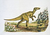 Secernosaurus dinosaur,illustration