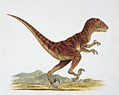 Adasaurus running,illustration