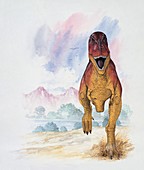 Indosuchus,illustration