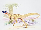 Lesothosaurus,illustration