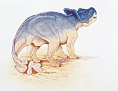 Protoceratops laying eggs,illustration