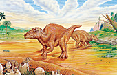 Illustration of Maiasaura