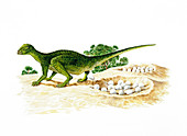Illustration of Orodromeus laying eggs