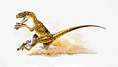 Illustration of Deinonychus running